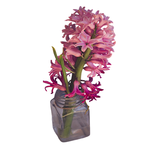 Classic Round Bouquet Arrangement