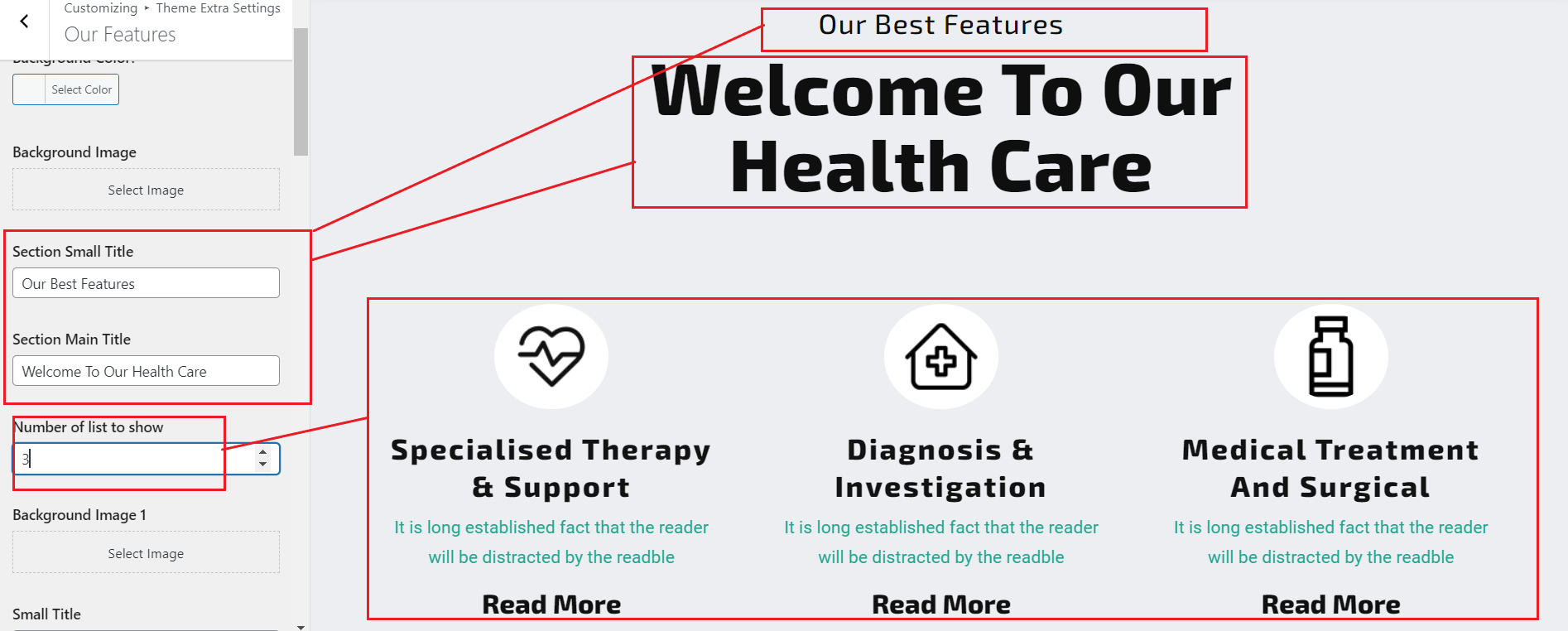 Image showing customizer setting for portfolio