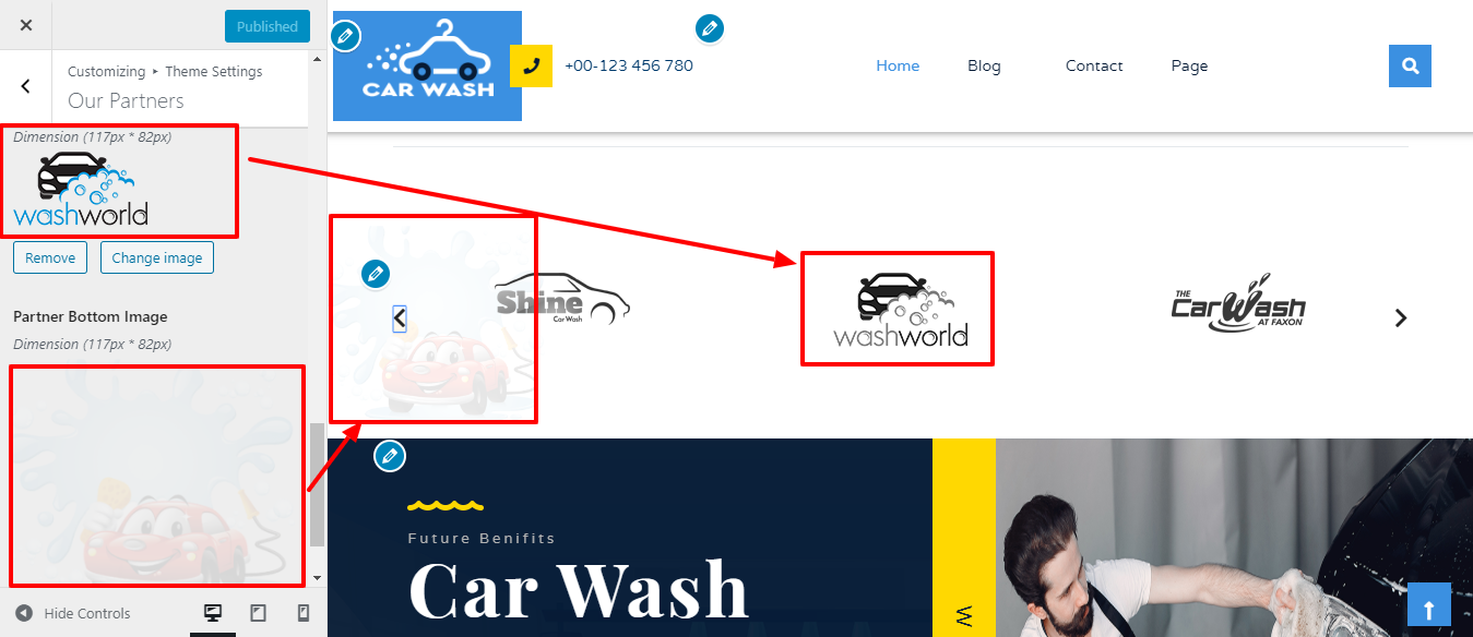Image showing customizer setting for Partner