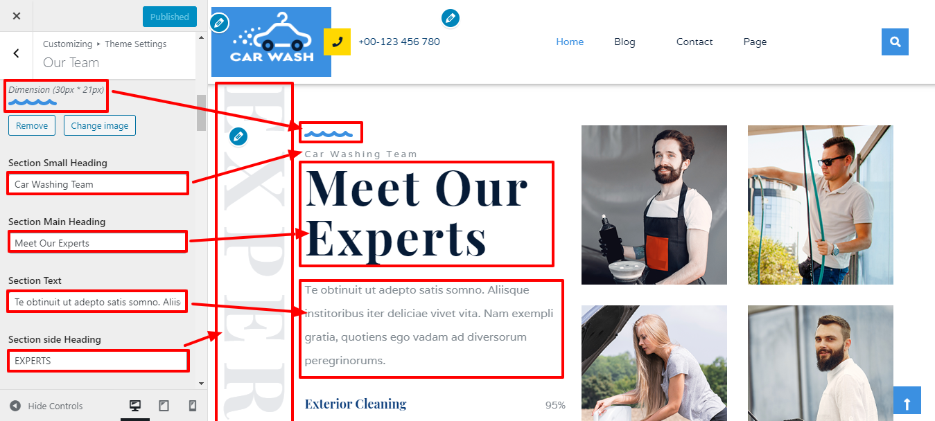 Image showing customizer setting for team