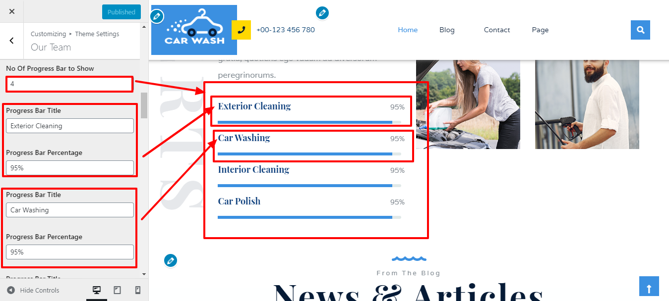 Image showing customizer setting for team