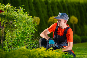 Alt Tab for Projects Images1