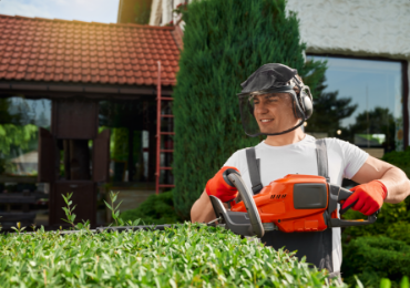 HEDGING & TOPIARY post thumbnail icon