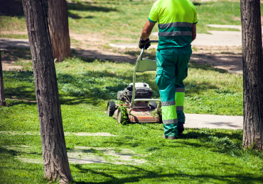 WEED CONTROL post thumbnail icon