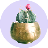 Alt Tab for Category image6