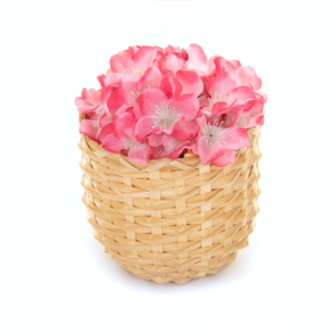 Your Product Name Full Title13