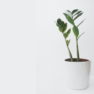 Your Product Name Full Title14