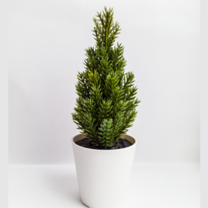 Your Product Name Full Title15