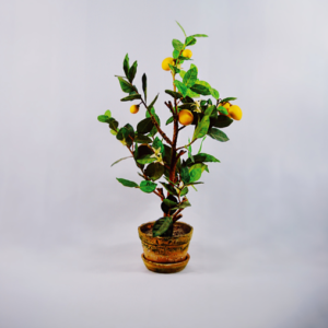 Your Product Name Full Title4