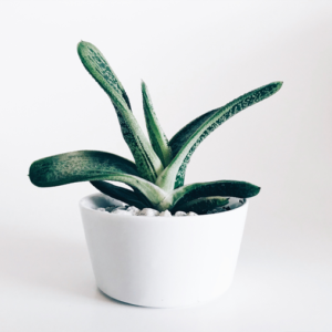 Your Product Name Full Title7