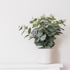 Your Product Name Full Title8