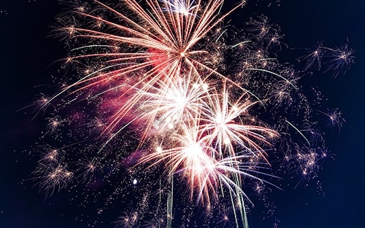 Alt Tag for Image Services6