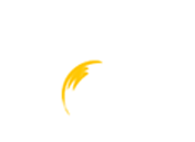 Vw Fitness Crossfit Pro