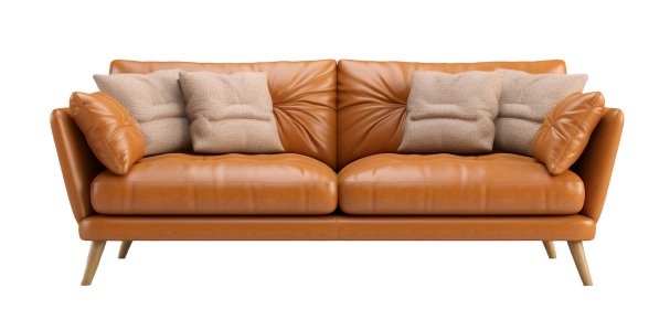 Sleeper Sofa 5