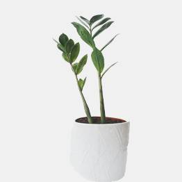 Your Product Name Full Title10