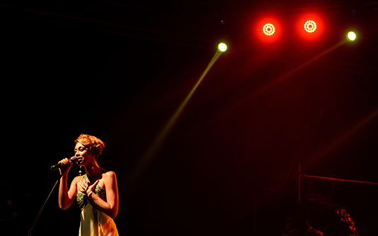 Alt Tag for Image Services4