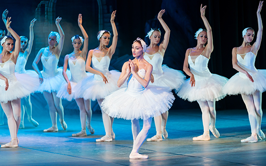 Alt Tag for Image Services1