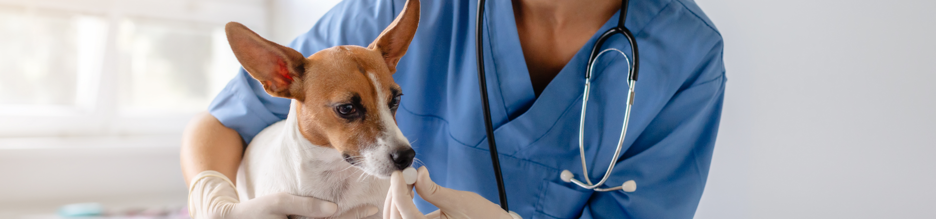 Blog with Right Sidebar